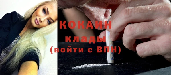 соль ск Кулебаки