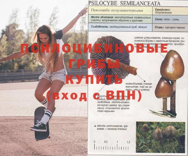 альфа пвп Абдулино
